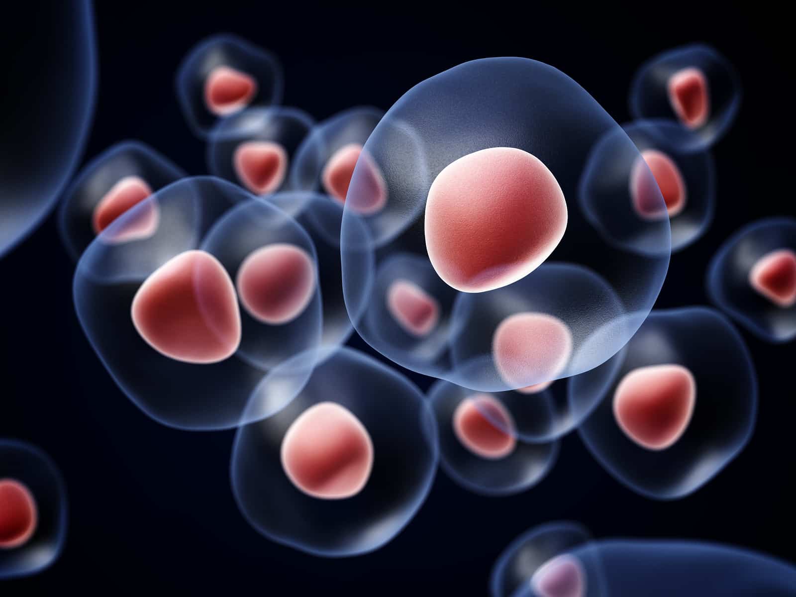 Stem Cell Therapy